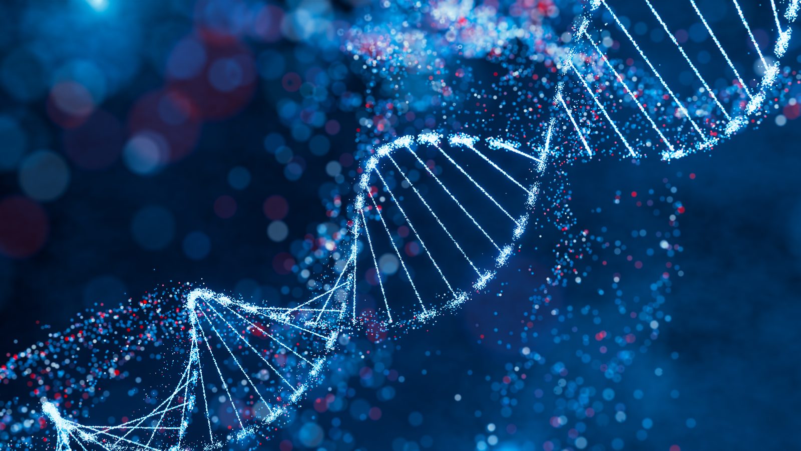 DNA double helix